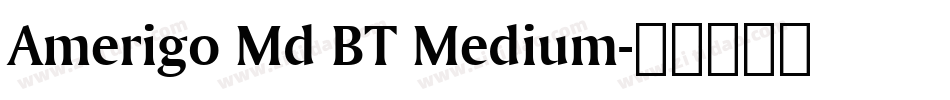 Amerigo Md BT Medium字体转换
